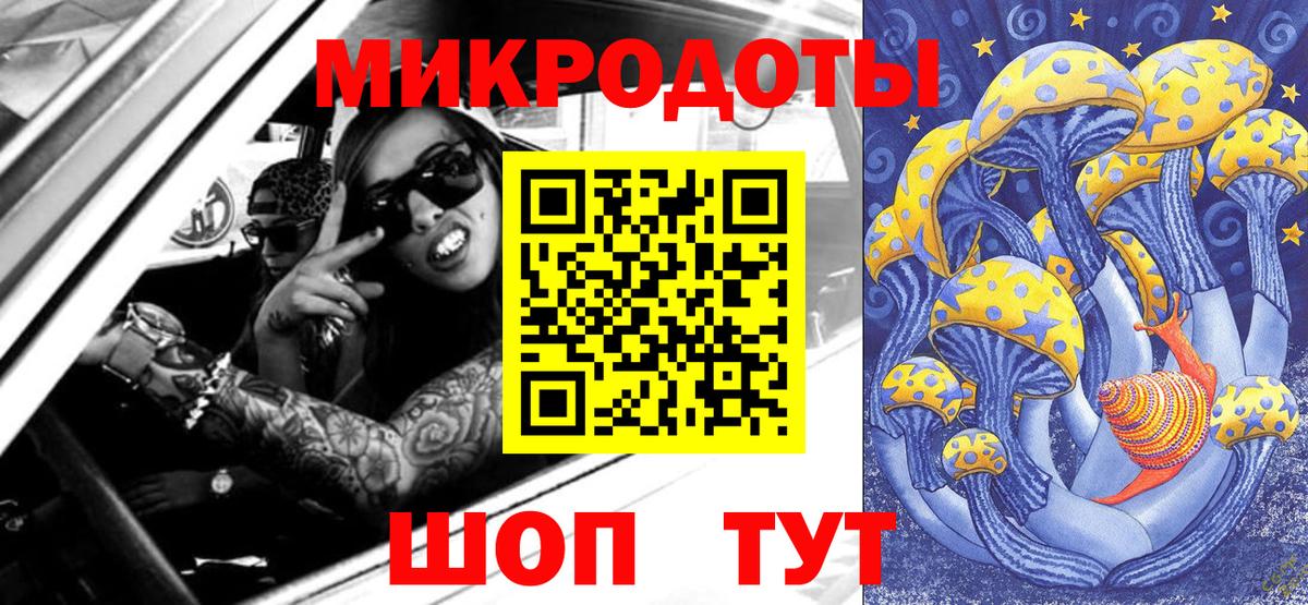 Луга  Галлюциногенные грибы Psilocybine cubensis  Вход с VPN 